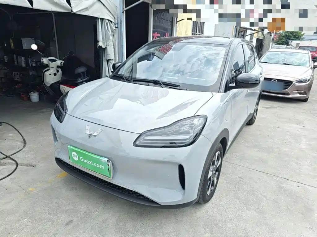 Wuling Motors Wuling Binguo PLUS 2024 401km Range 5-seater