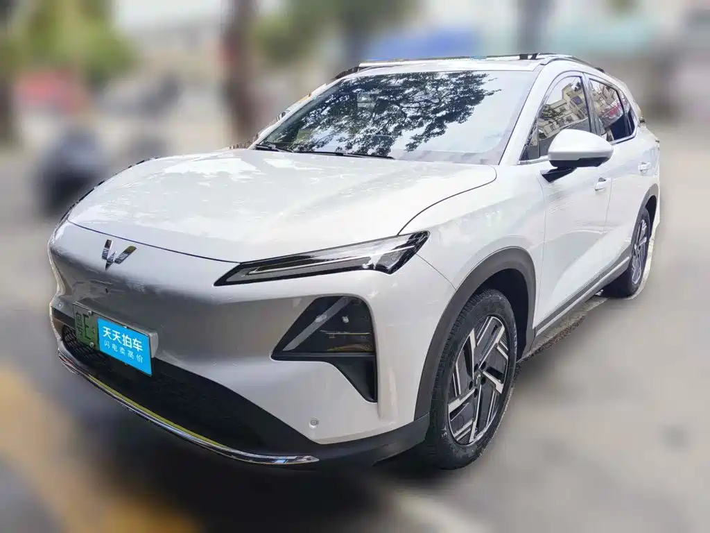 Wuling Motors Wuling Xingguang S 2024 510km Flagship Model