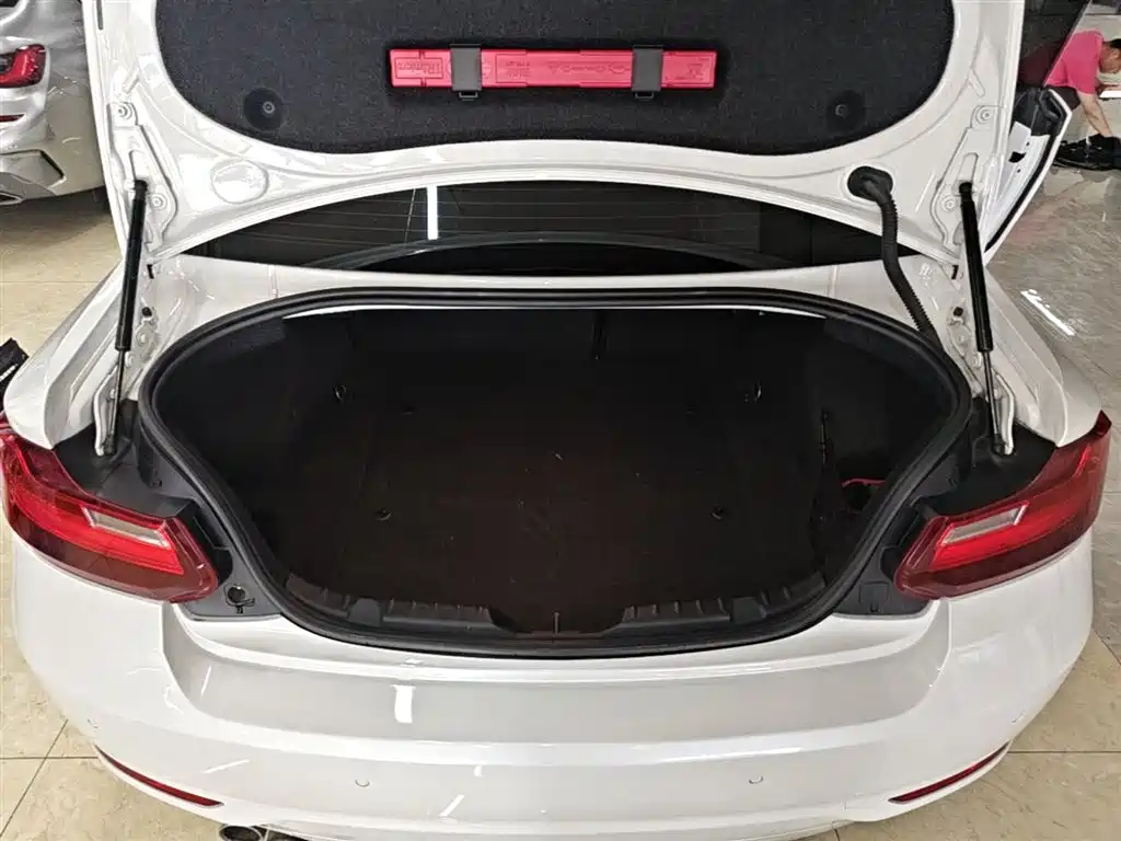 BMW 2 Series (Import) 2017 220i Leading фото 19