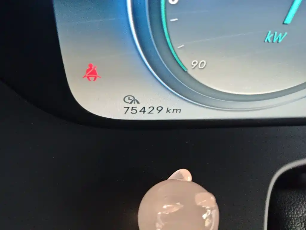 Denza X 2020 2020 Model PHEV Flagship Edition