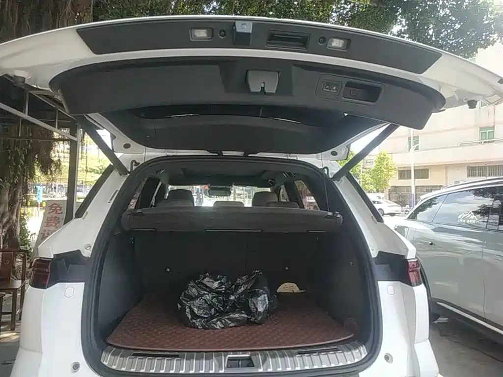 BYD Song Pro New Energy 2023 Champion Edition DM-i 110KM Excellence фото 19