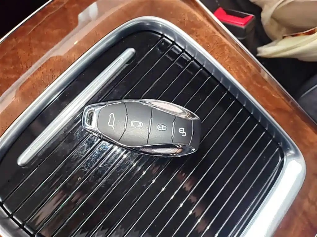 Hongqi HQ9 PHEV 2024 Model 2.0T AWD Luxury Edition фото 9