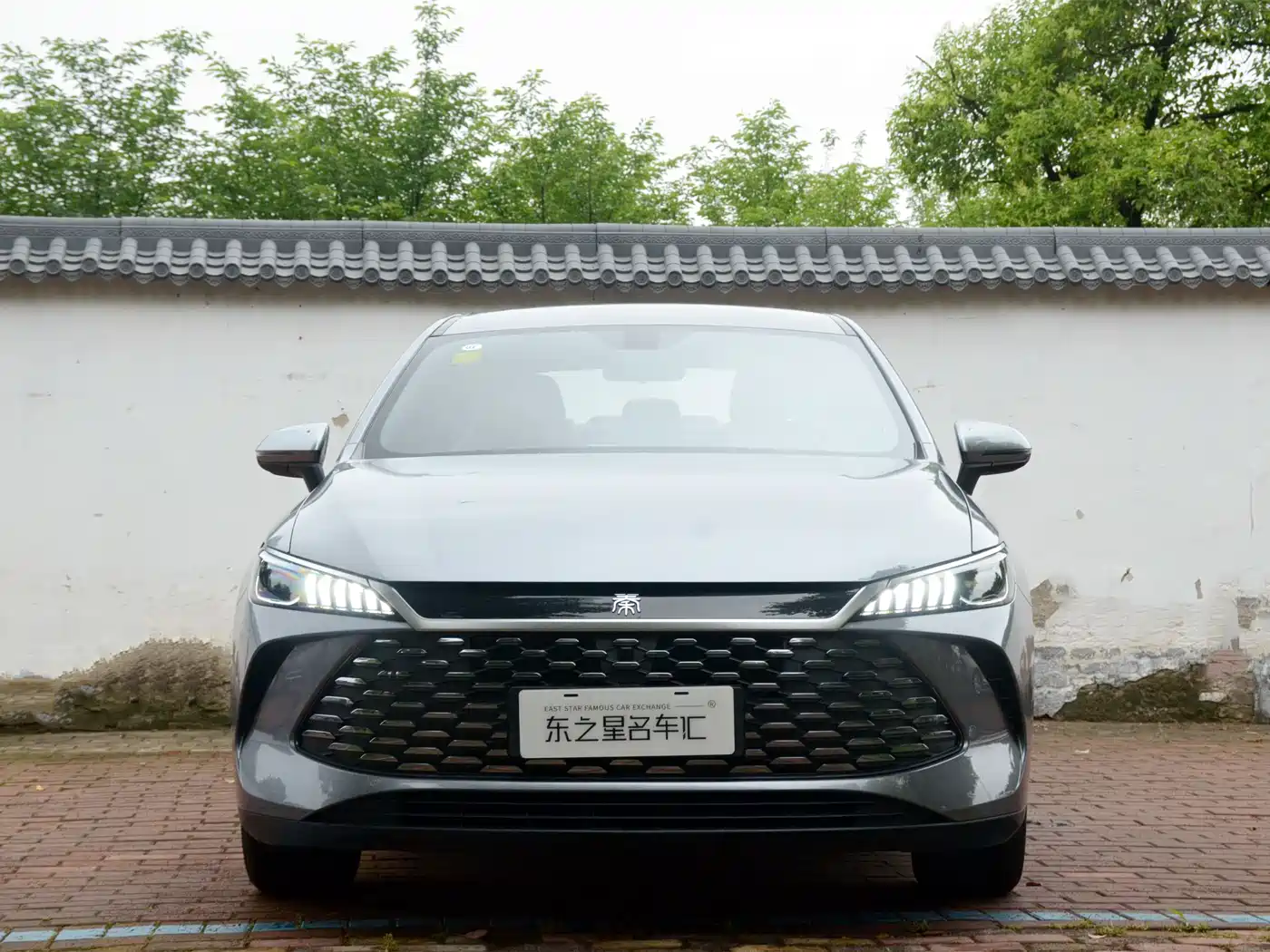 BYD Qin PLUS 2024 Glory Edition DM-i 55KM Leading фото 2