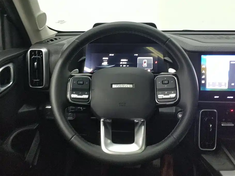 Haval Big Dog 2024 1.5T DCT Border Collie Edition фото 15