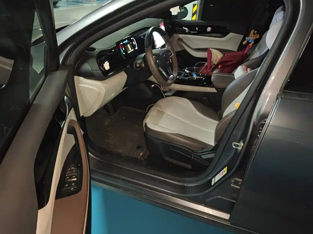 BYD Qin PLUS 2024 Glory Edition DM-i 55KM Leading фото 14