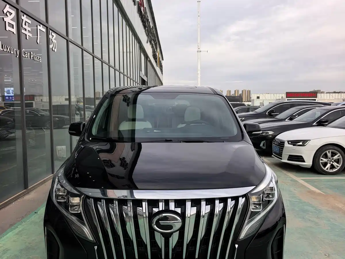 GAC Trumpchi Trumpchi M8 2021 Leading Show Series 390T Luxury Edition фото 2