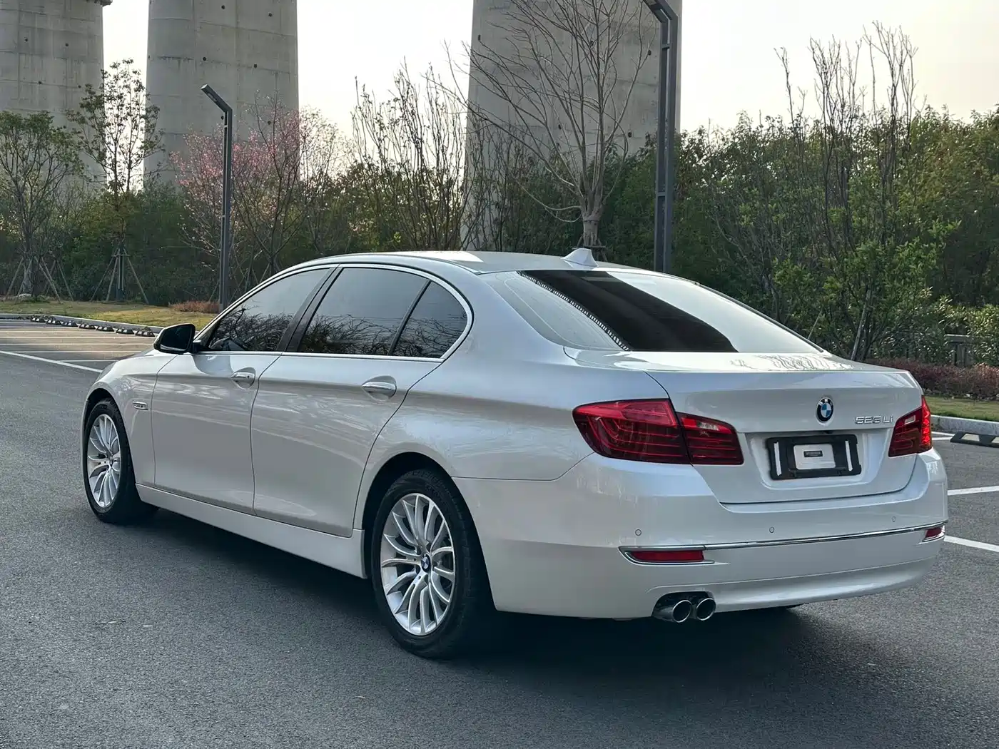 BMW 5 Series 2014 525Li Luxury Design Package фото 8