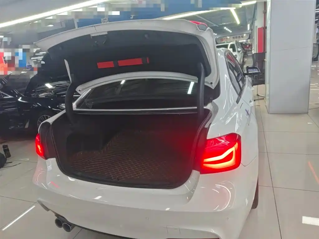 BMW 3 Series 2019 320Li M Luxury Package фото 19