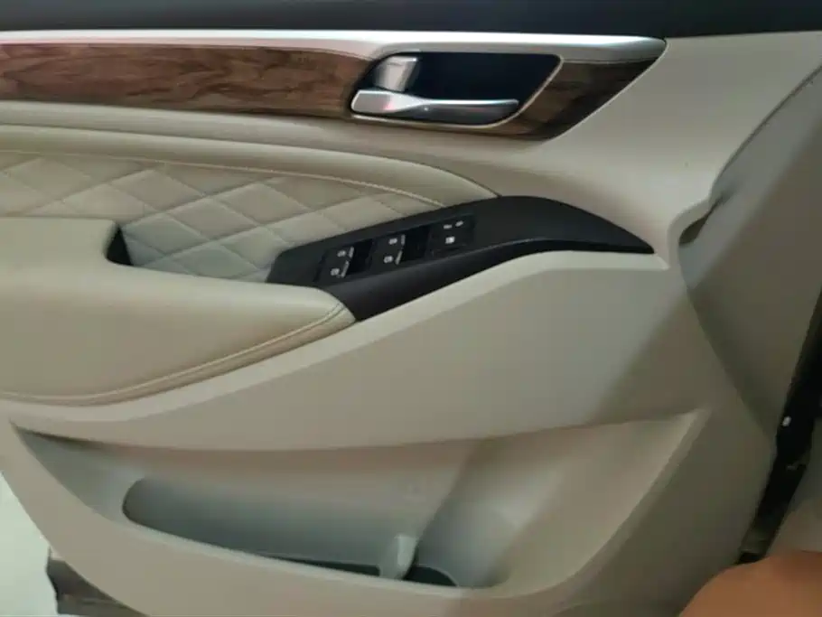 GAC Trumpchi Trumpchi M8 2018 320T Exclusive Edition фото 7