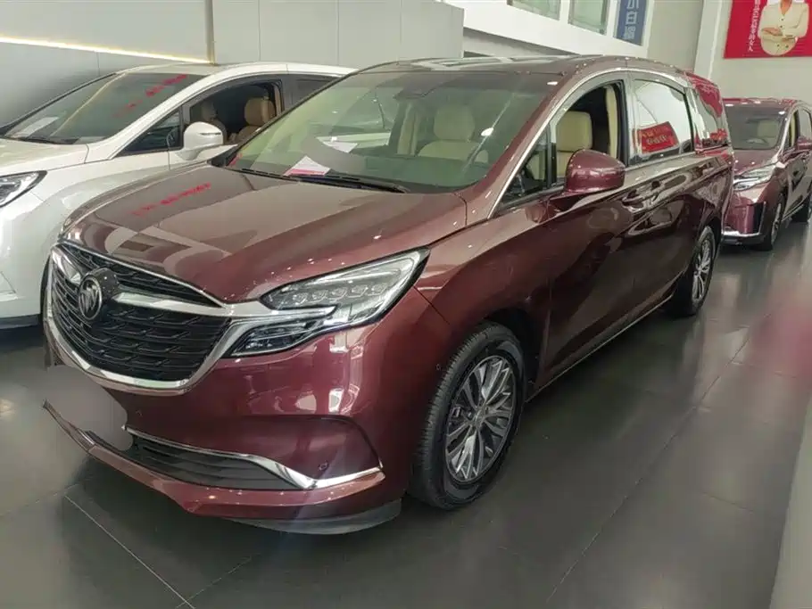 Buick GL8 2022 ES Landmark 653T Premium