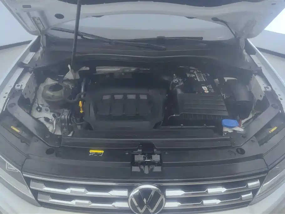Volkswagen Tiguan L 2021 330TSI Automatic 2WD Smart фото 10