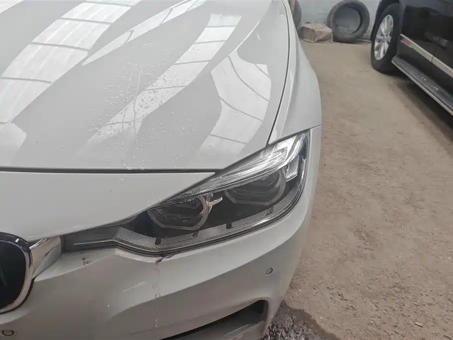 BMW 3 Series 2019 320Li Fashion Type фото 5