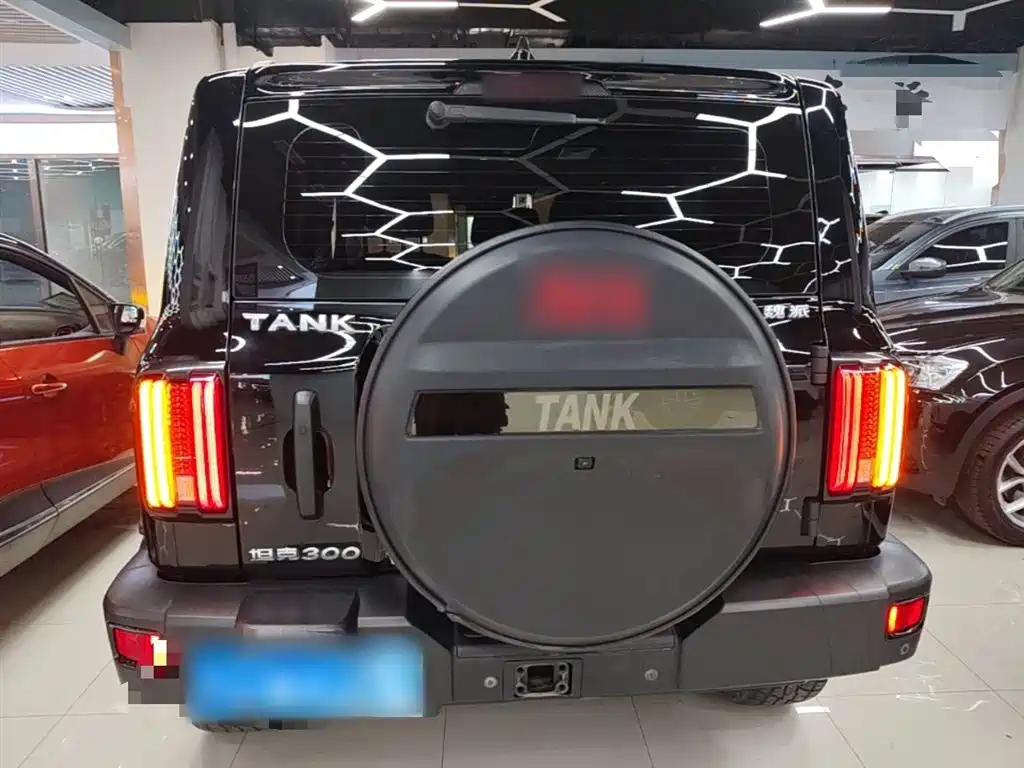 Tank 300 2021 Off-road Edition 2.0T Challenger фото 6