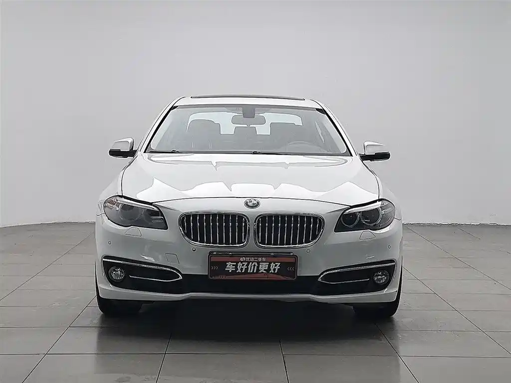 BMW 5 Series 2014 525Li Luxury Design Package фото 3