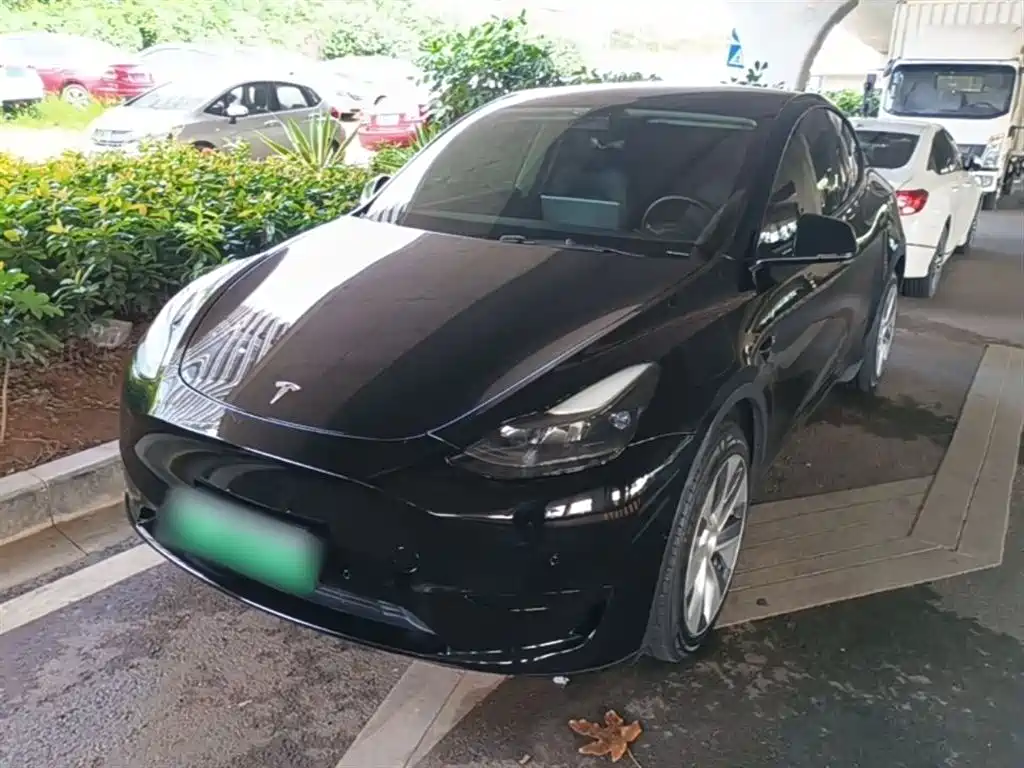 Tesla Model Y 2022 Rear-Wheel Drive Version