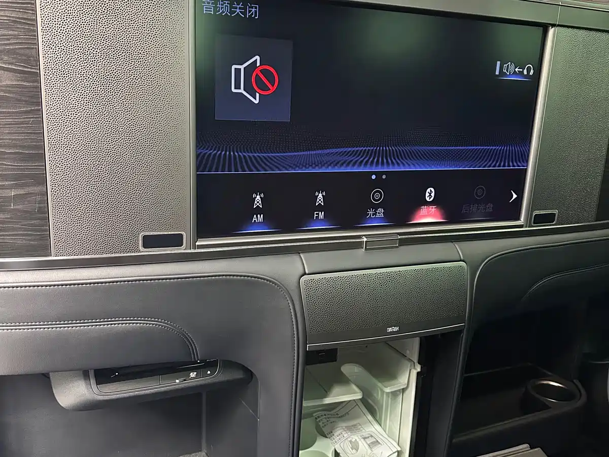 Lexus LM 2020 300h 4-Seat Imperial Edition фото 12