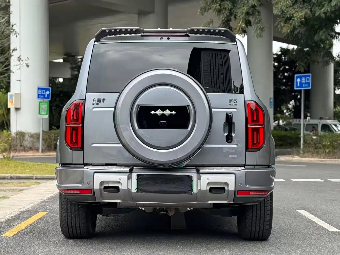 FANG CHENG BAO LEOPARD 5