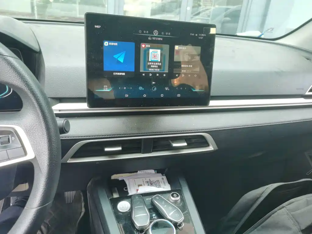 BYD e2 2021 2020 Upgrade Standard Range Standard Model