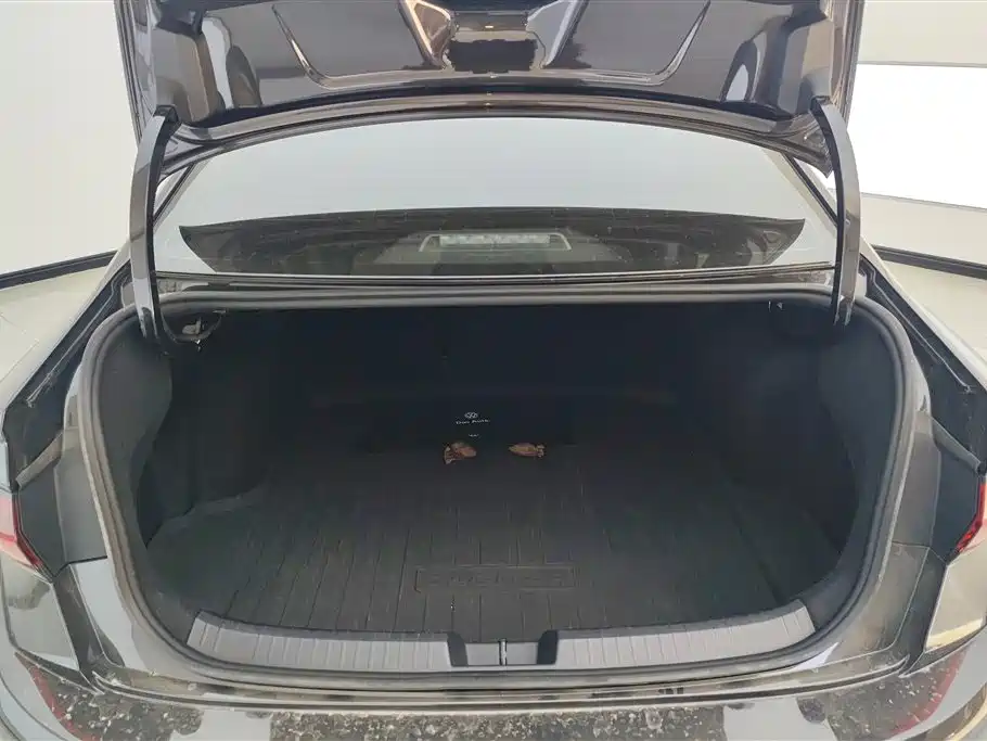 Volkswagen Sagitar 2025 300TSI DSG Surpass Edition фото 4