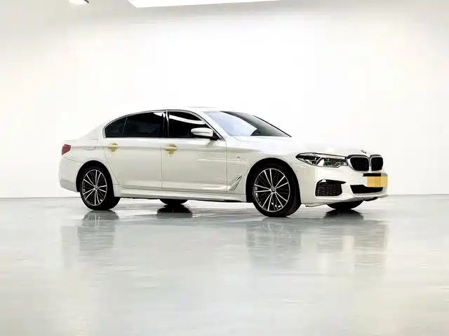 BMW 5 Series 2020 530Li Leading M Sport Package фото 3