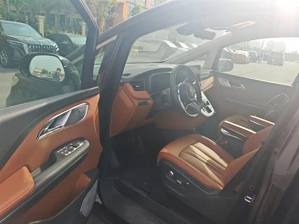 Hongqi HQ9 PHEV 2024 Model 2.0T AWD Business Edition фото 16