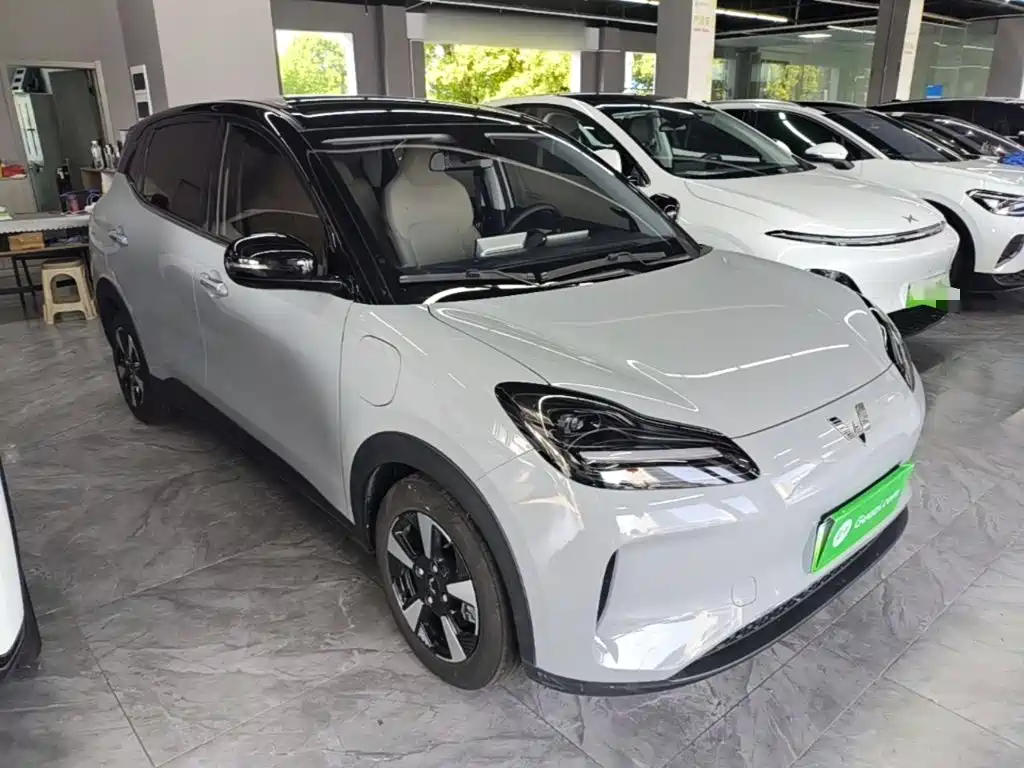 Wuling Motors Wuling Binguo PLUS 2025 2024 401km Range 5-seater