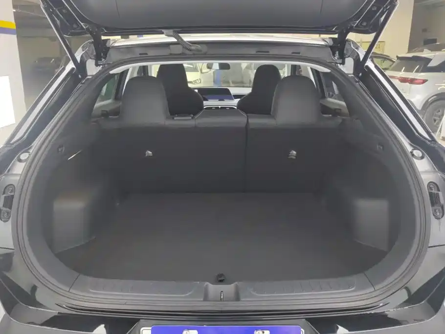 Venucia DaV DD-i 2024 2023 110km iE Edition