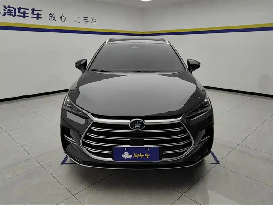 BYD Tang New Energy 2021 DM-i 112KM Premium фото 2