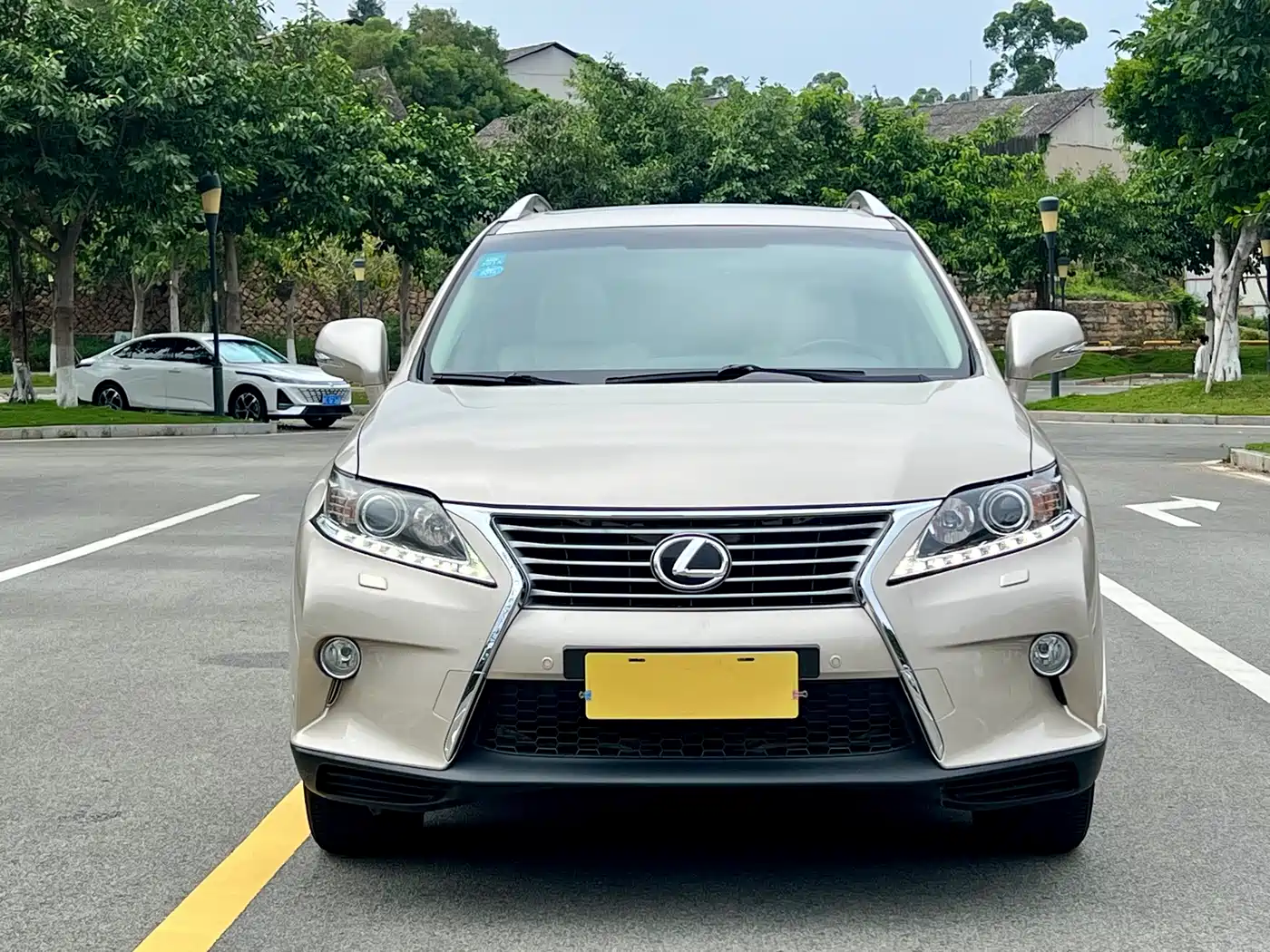Lexus RX Classic 2013 2013 270 Elegance