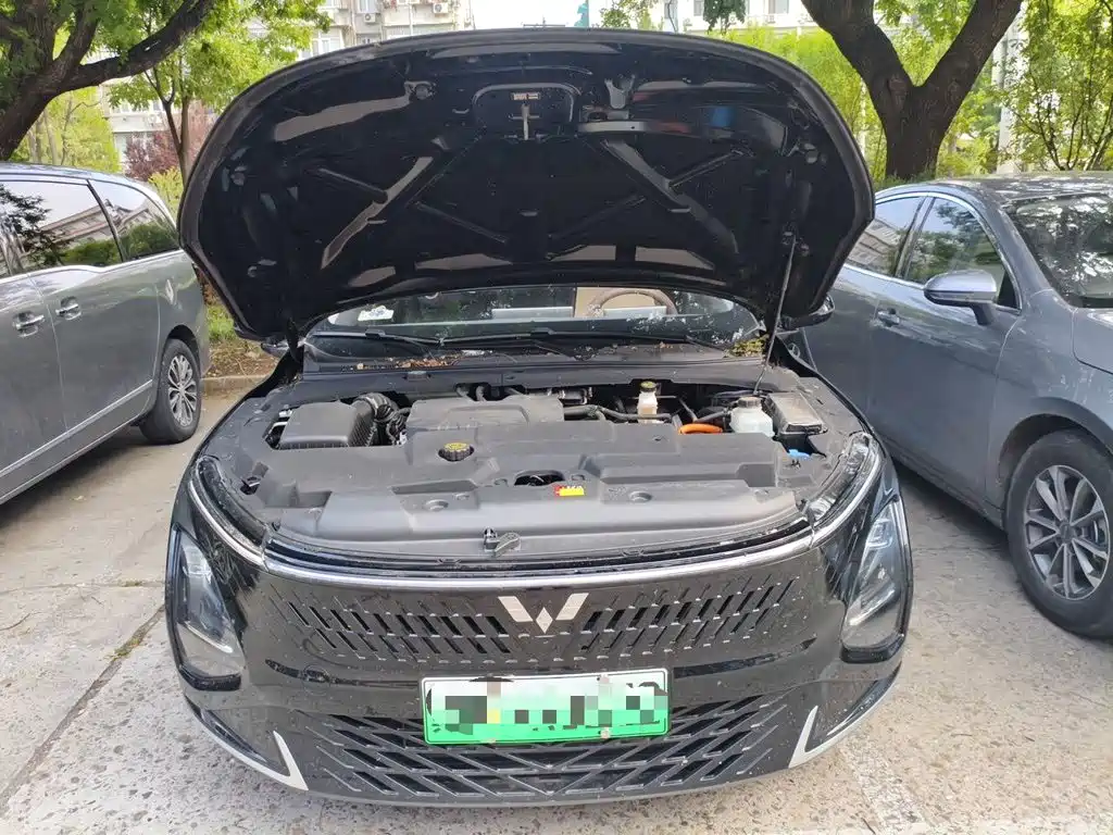 Wuling Motors Wuling Xingguang 2025 2025 70km Smart Standard