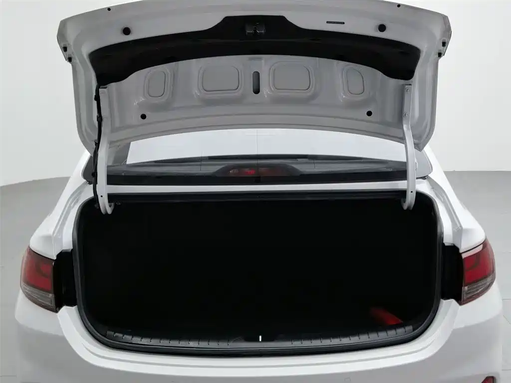 Hyundai Elantra 2020 1.6L Auto GL Pleasing Edition фото 16