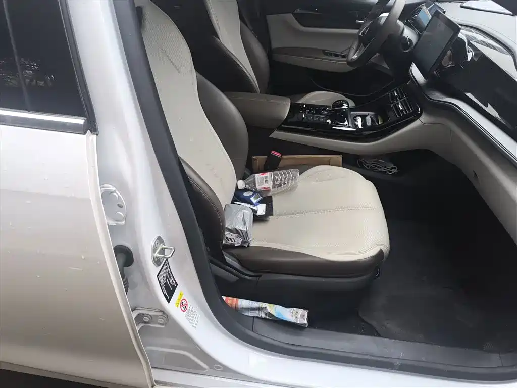 BYD Qin PLUS 2023 Champion Edition DM-i 55KM Leading фото 25