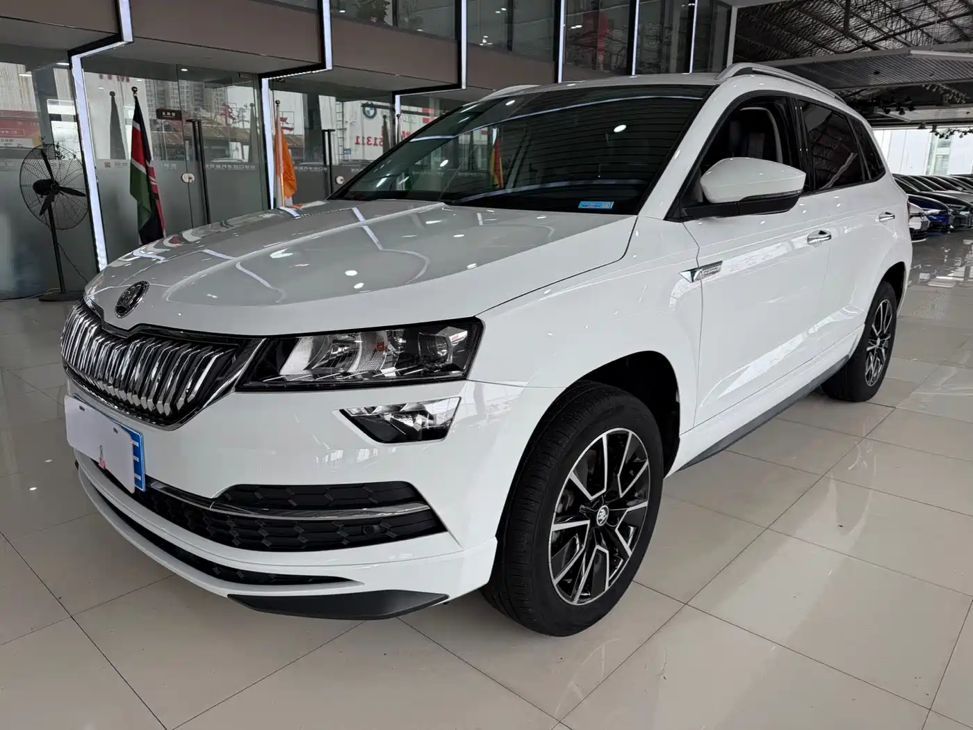 SKODA KROK
