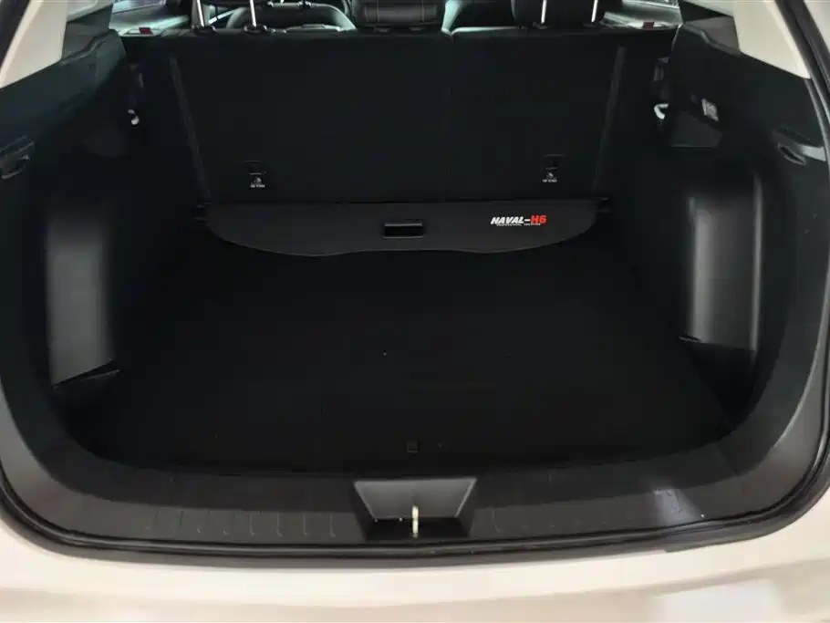 Haval H6 2021 Model National Trend Edition 1.5T Auto Champion фото 4