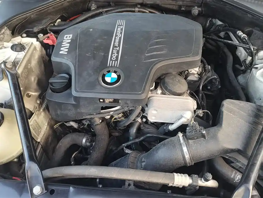 BMW 5 Series 2014 525Li Luxury Design Package фото 10