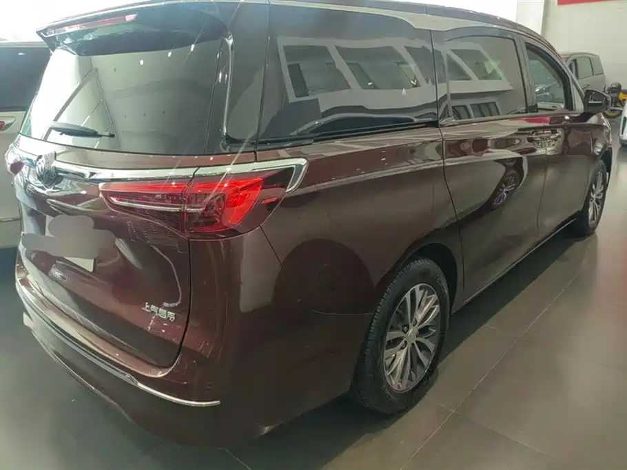 Buick GL8 2022 ES Landmark 653T Premium фото 3