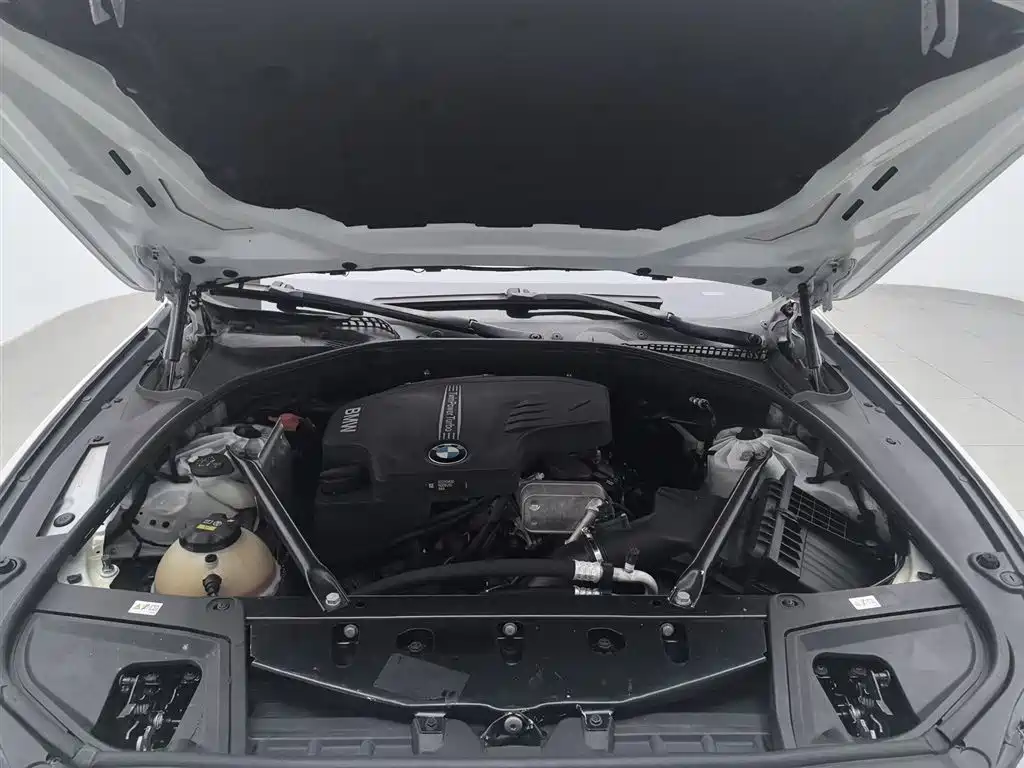 BMW 5 Series 2014 525Li Luxury Design Package фото 6