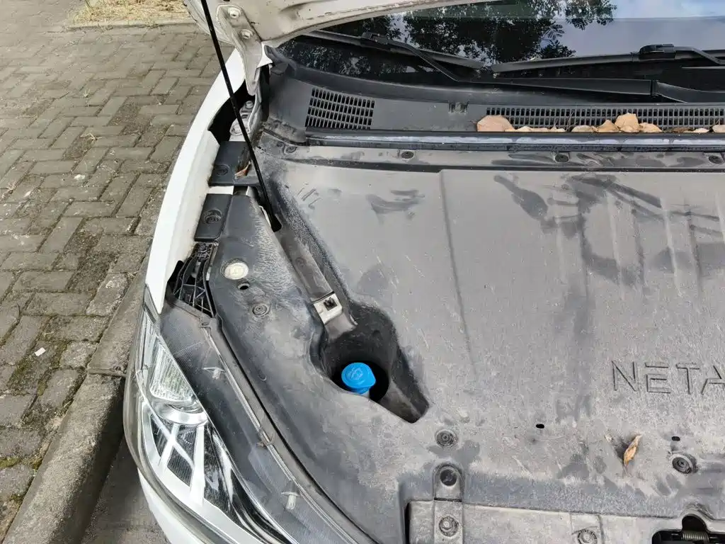 Nezha Auto Nezha V 2022 2022 Tide 300 Lite Ternary Lithium