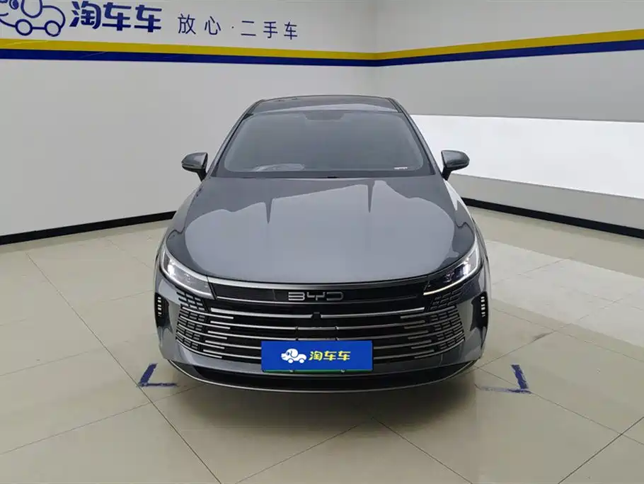 BYD Destroyer 05 2024 Glory Edition DM-i 55KM Luxury фото 2