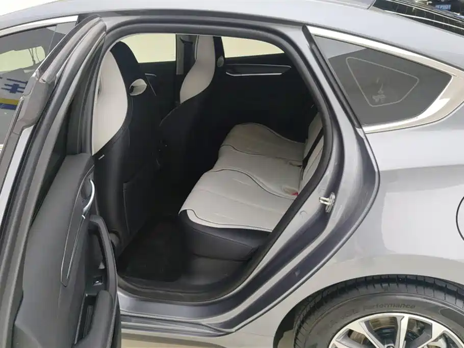 BYD Destroyer 05 2024 Glory Edition DM-i 55KM Luxury фото 11