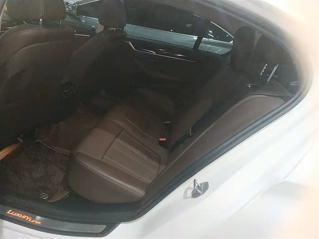 BMW 5 Series 2019 525Li Luxury Package фото 17