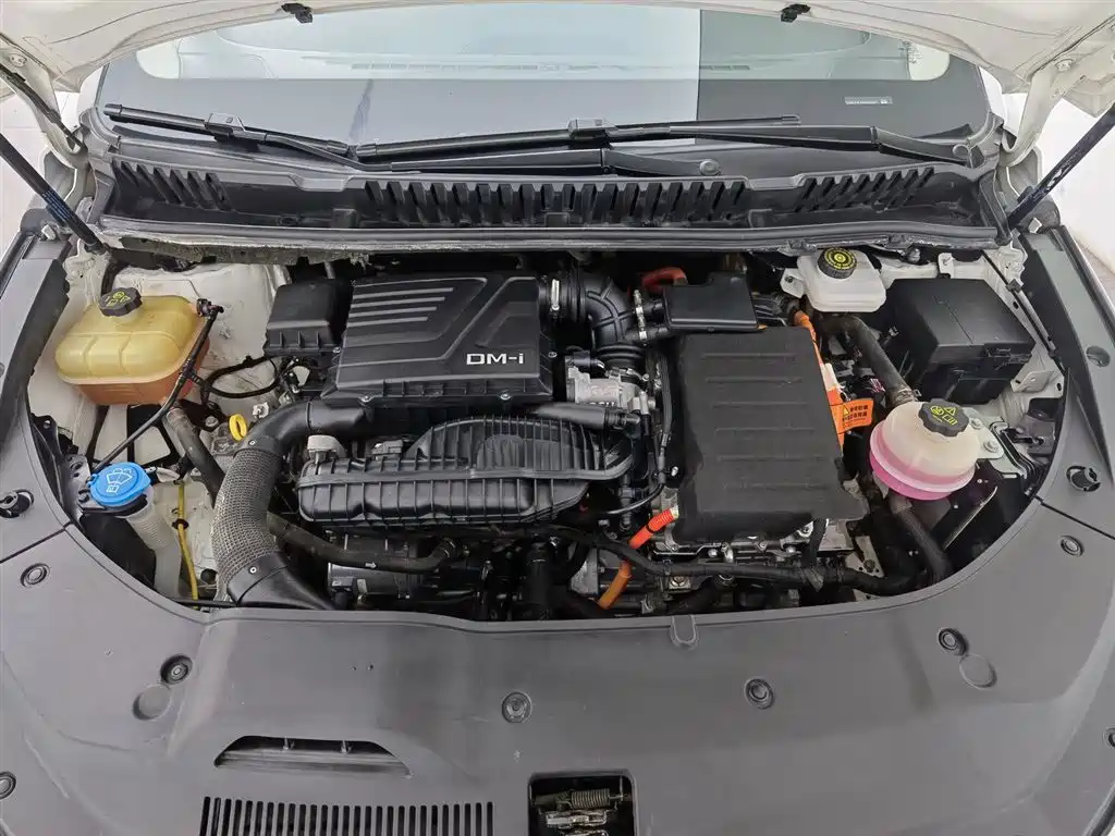 BYD Song MAX New Energy 2022 DM-i 105KM Honor Model фото 6