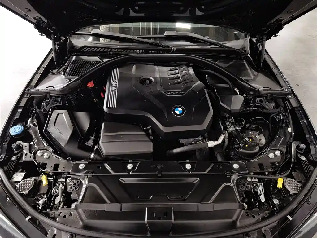 BMW 3 Series 2022 325i M Sport Shadow Edition фото 6