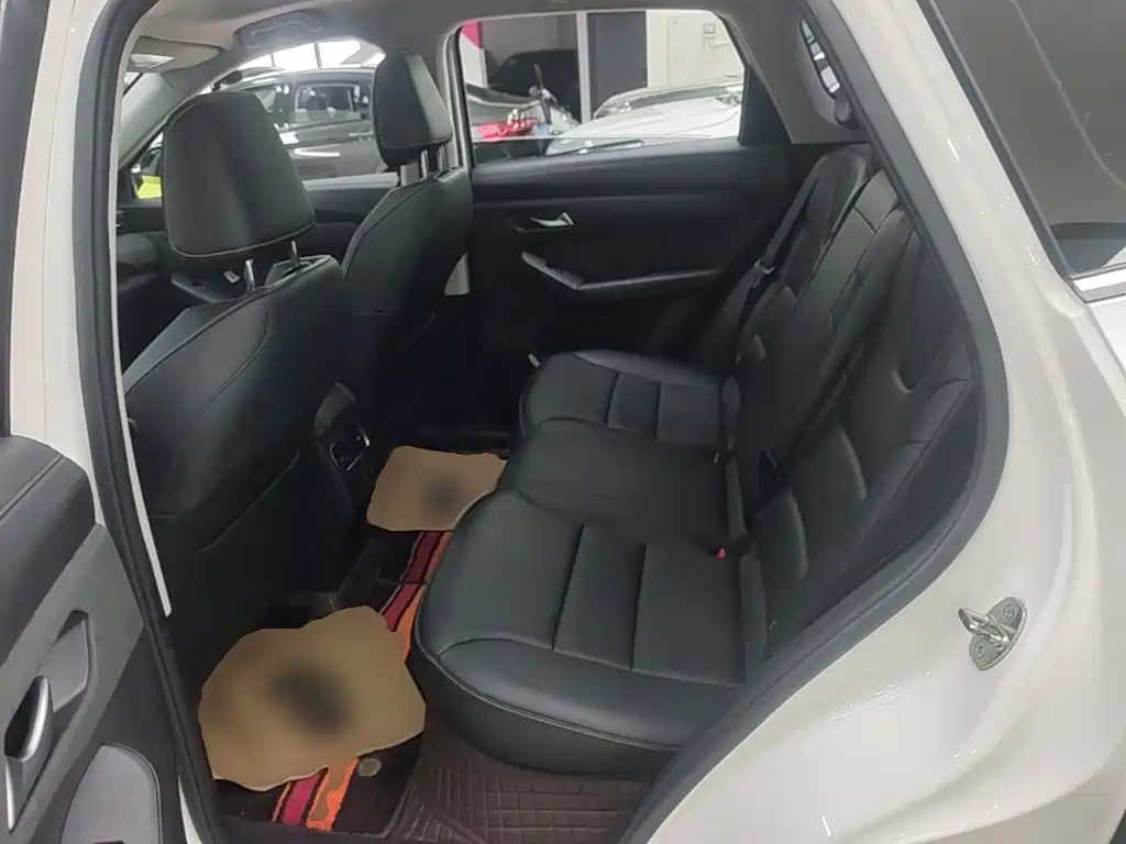 Haval Chitu 2022 2022 Power Edition 1.5T Purple Copper Rabbit