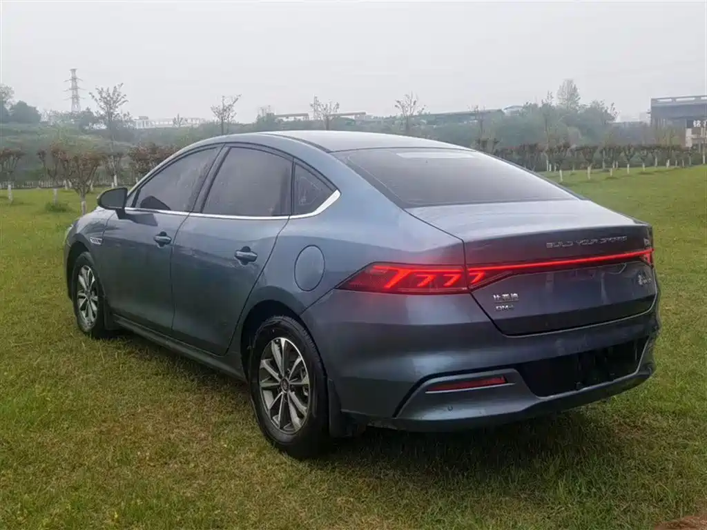 BYD Qin PLUS 2024 Glory Edition DM-i 55KM Leading фото 11