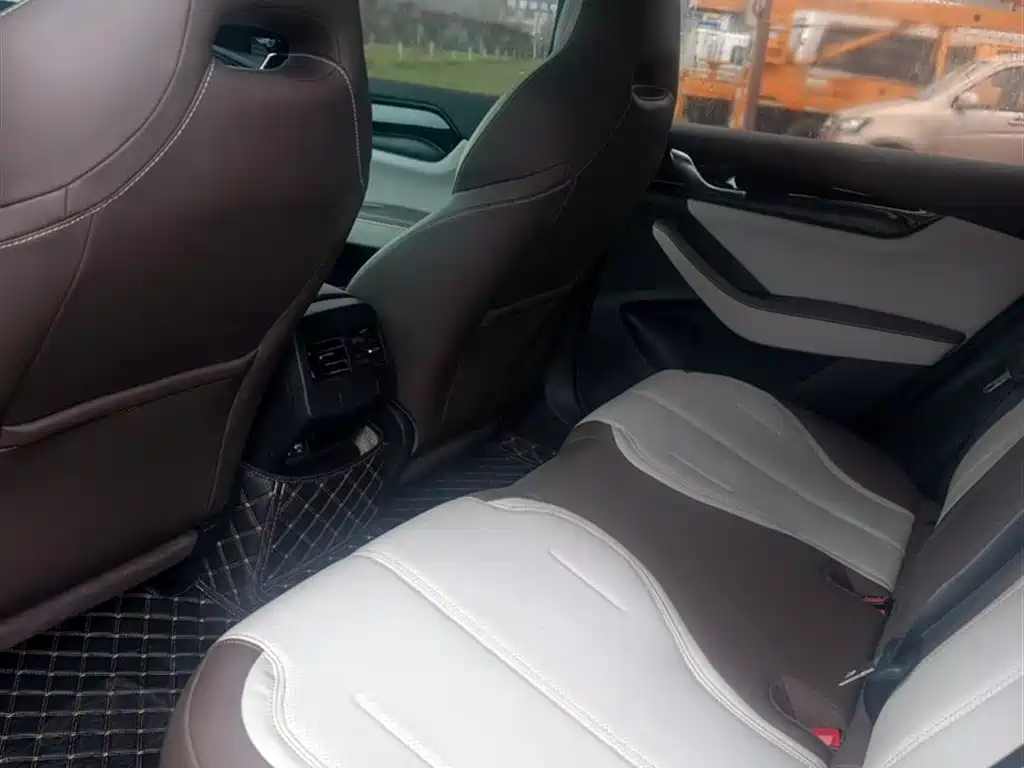 BYD Qin PLUS 2024 Glory Edition DM-i 55KM Leading фото 18
