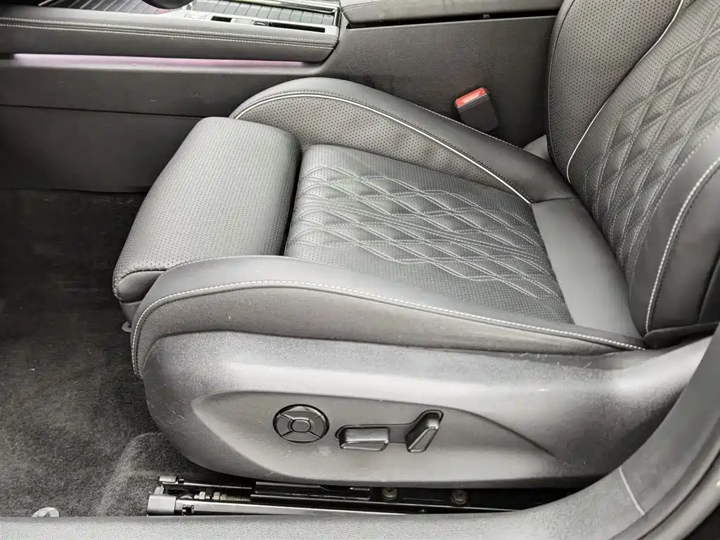 Volkswagen Magotan 2024 380TSI DSG Luxury Edition (Daimai Package) фото 20