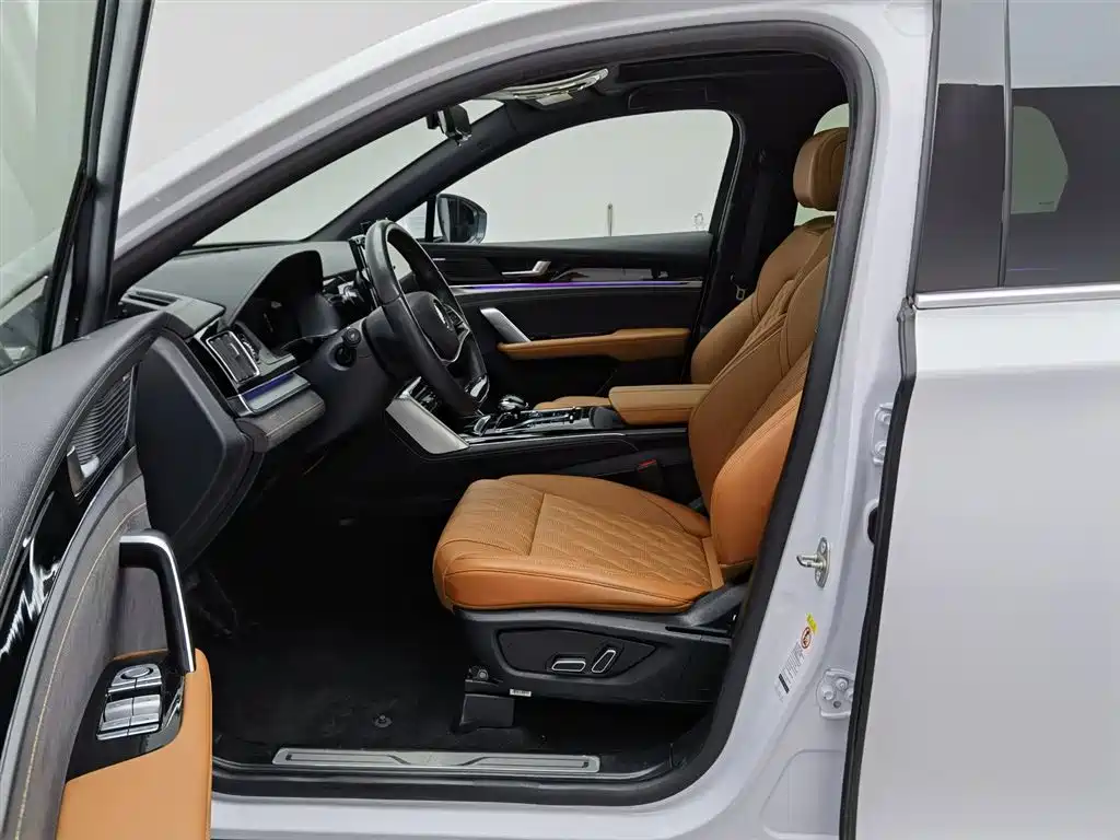 BYD Tang New Energy 2023 Model DM-i Champion Edition 112KM Premium фото 10