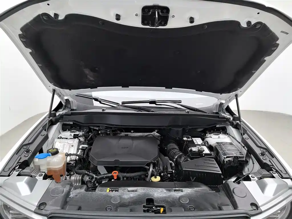Haval Big Dog 2024 2.0T DCT Chinese Rural Dog Edition фото 6