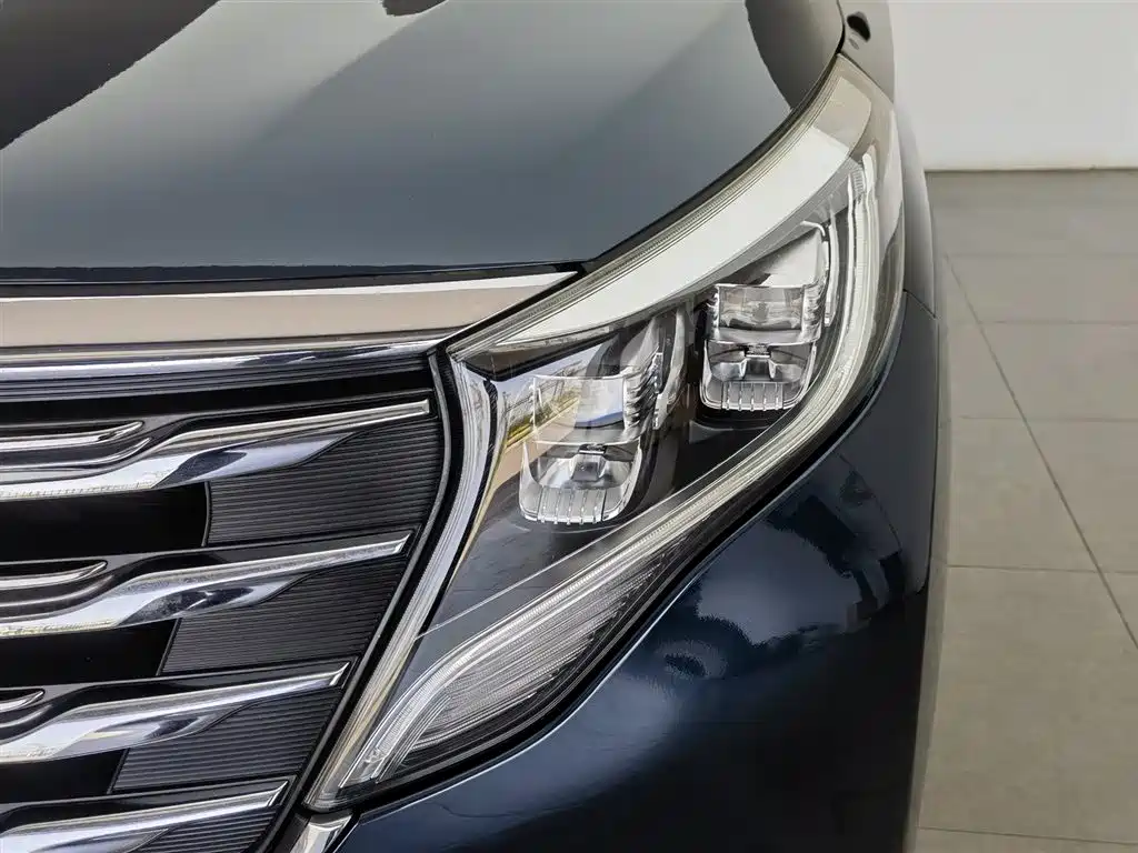 GAC Trumpchi Trumpchi M8 2018 320T Premium Edition фото 7